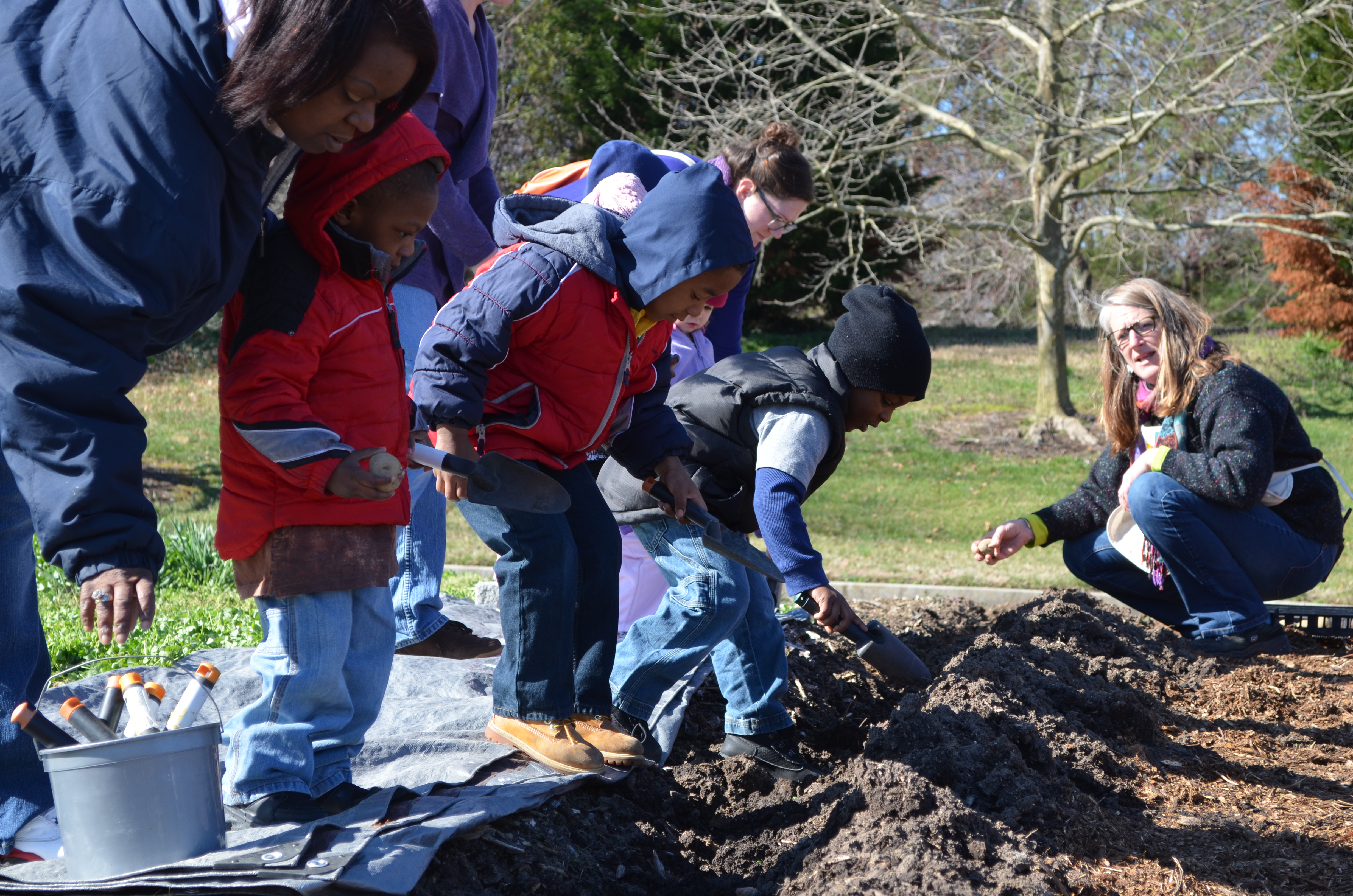 Children Plant Potatoes & Peas to Celebrate the First Day of Spring ...