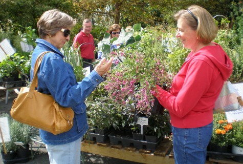 Shoppers at the Spring Plant Sale