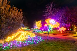 Dominion Energy GardenFest of Lights flower lights. Image by Nicole Plummer