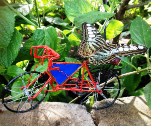 Blue clipper (Parthenos sylvia lilacinus) on red and blue bike