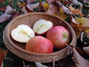 Autumn Apples
