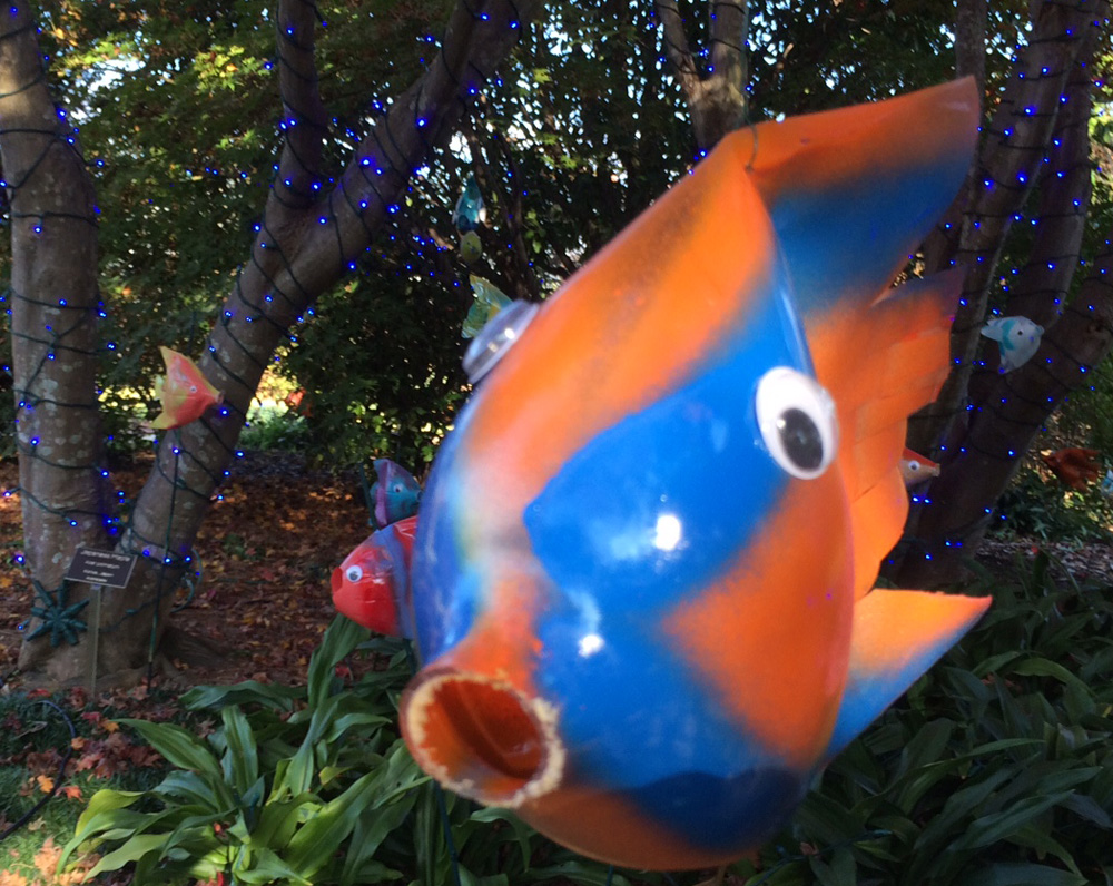 DIY Fish Decorations