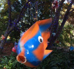 Orange and blue fish