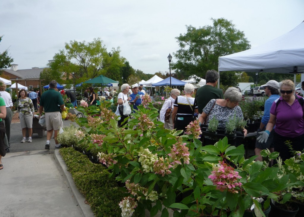 Plant Sale Vendor Information for Lewis Ginter Botanical Garden