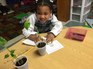 child with sprout learning in classroom