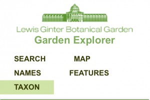 garden explorer screen shot mobile