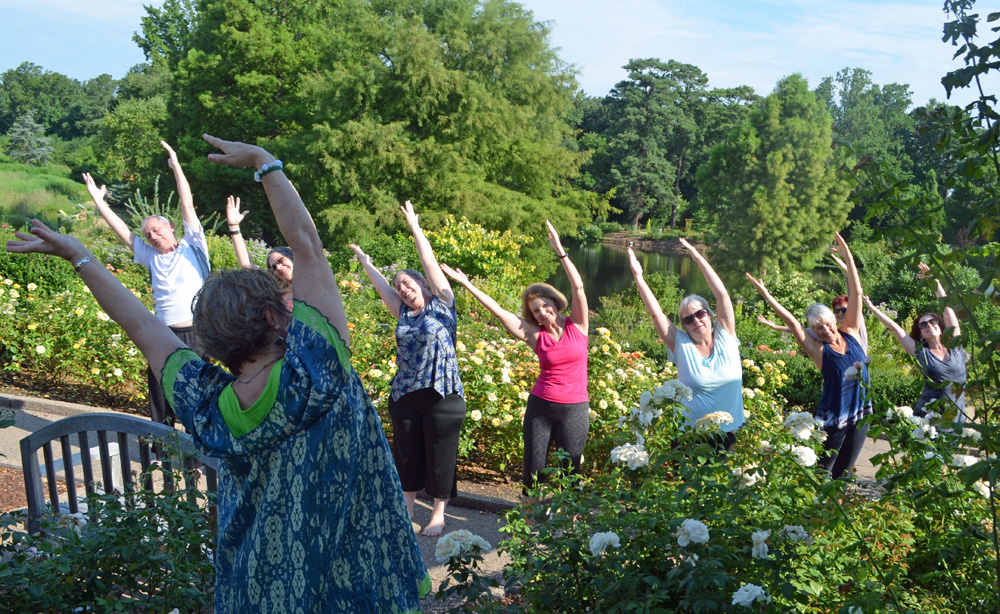 Side Stretch Rose Garden Yoga cropped 1000 - Lewis Ginter Botanical Garden