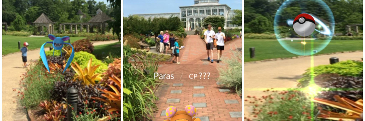 pokemon go community day at Lewis GInter Botanical garden