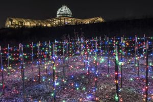 Conservatory at Dominion GardenFest of Lights