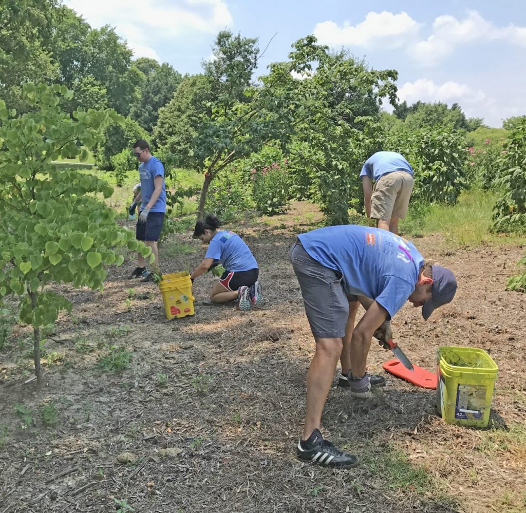 CarMax Free Fourth of July & CarMax Volunteers - Lewis Ginter Botanical ...