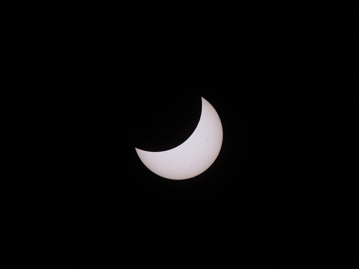 partial eclipse image by Rick Fienberg - Lewis Ginter Botanical Garden