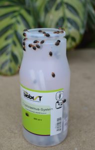 Beneficial Insects on bottle