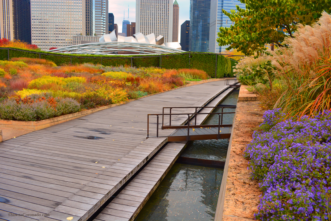 Fall Millennium Park View Lurie Garden © Shawna Coronado copy.jp - Lewis  Ginter Botanical Garden