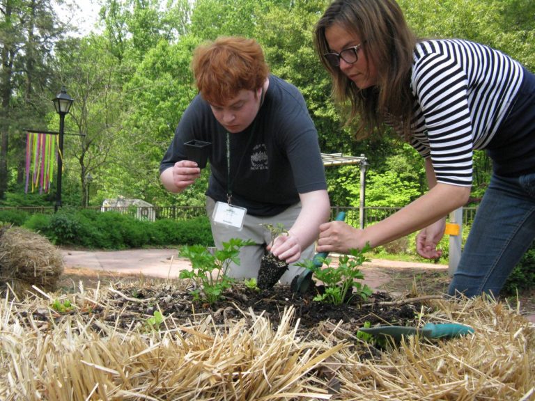 Therapeutic Horticulture: Soothing the Heart, Mind & Soul