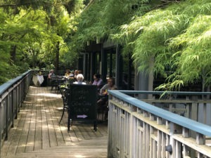 Dining on the patio of the Tea House