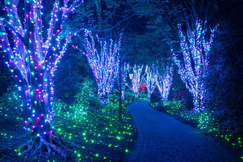 See Lights Glow - Lewis Ginter Botanical Garden - Richmond, VA