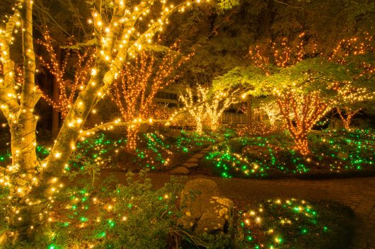 See Lights Glow - Lewis Ginter Botanical Garden - Richmond, VA