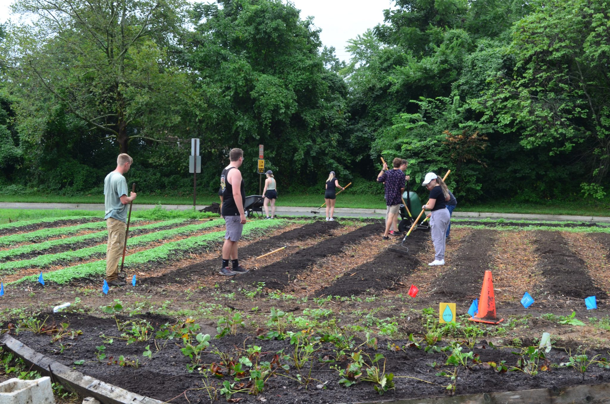 Renovating the Kroger Community Kitchen Garden