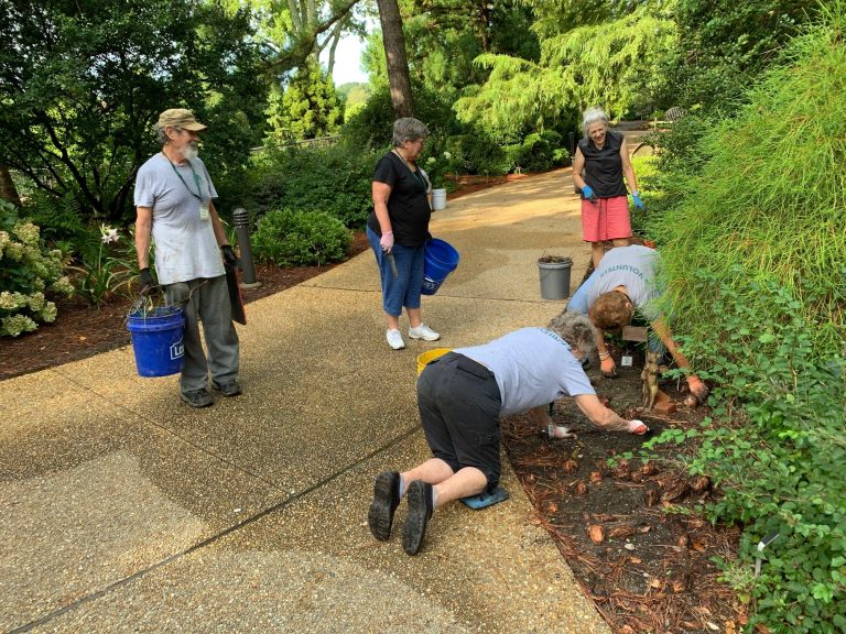 Volunteers Making a Difference Gardening - Lewis Ginter Botanical Garden