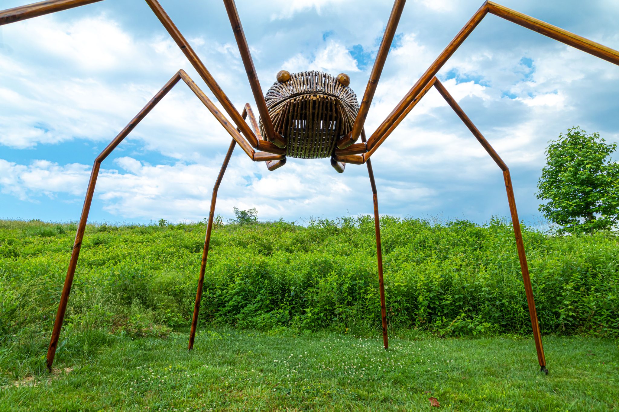 Big Bugs on Display at Lewis Ginter Bugtanical Garden - Lewis Ginter ...