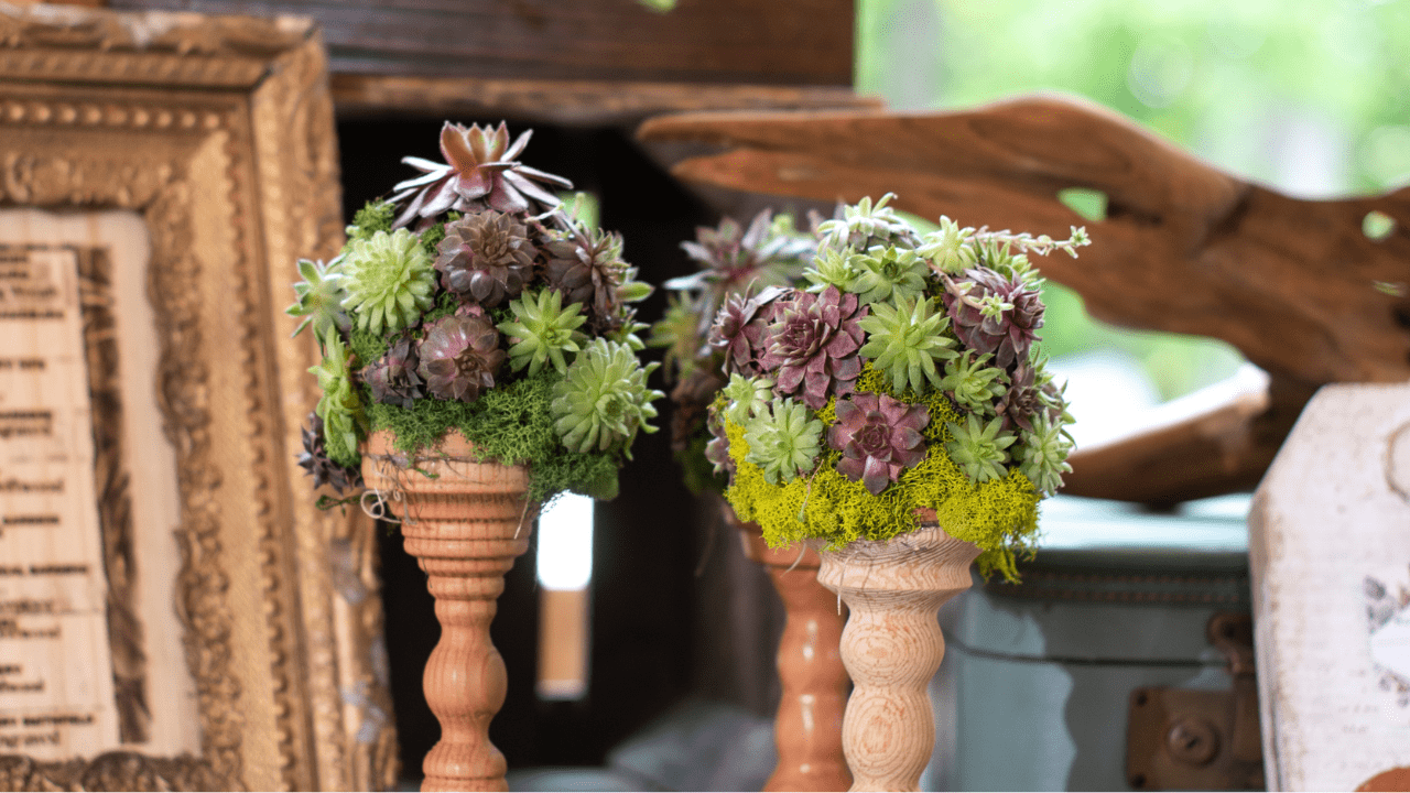 Succulent Candlestick Topiary