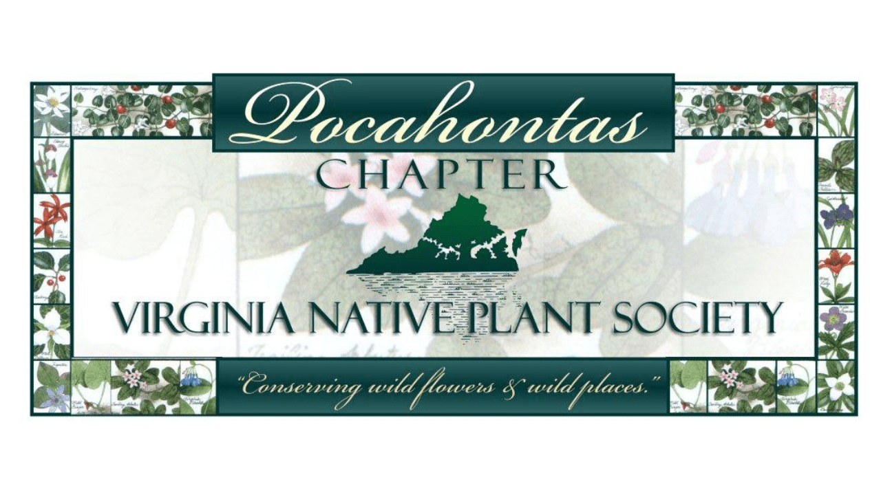 Va Native Plant Society Sale Online | dakora.com.co