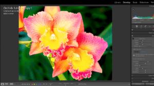 Editing Photos with Adobe Lightroom Classic