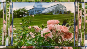 Garden Photo Collage