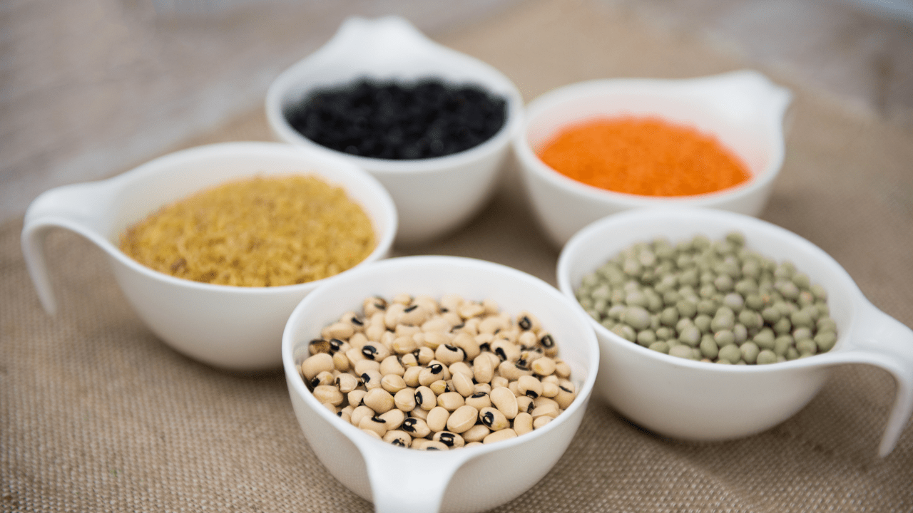 Tropical Food Plants: Pulses: Beans, Lentils and Peas