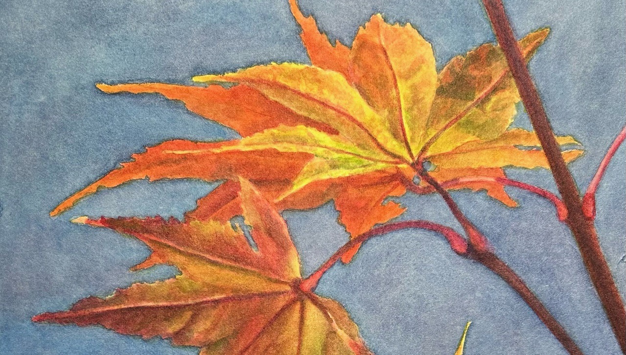 Drawing and Painting Fall Leaves