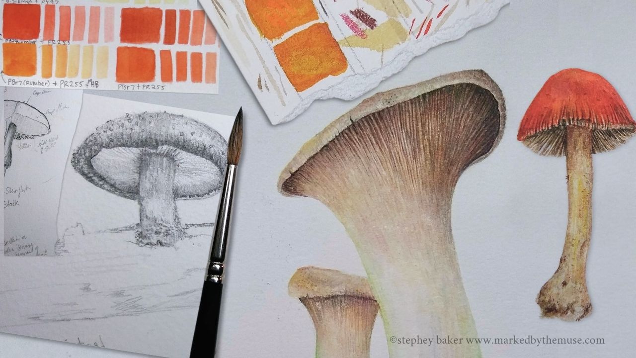 Introduction to Watercolor for Botanical Illustration